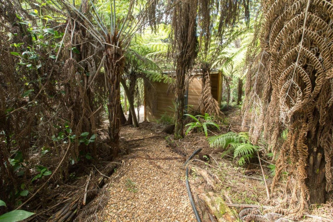Karaka Sanctuary With Spa Pool By Waiheke Unlimited Oneroa Phòng bức ảnh